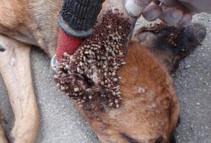 ��湷Ӧ���������