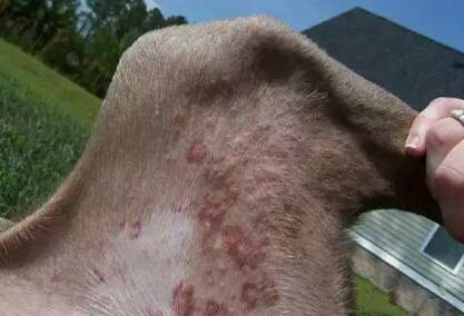 ��湷Ӧ���������