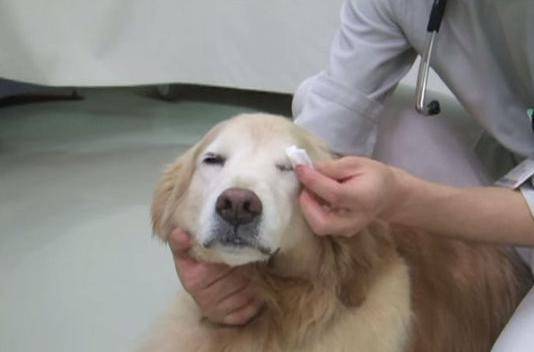 ҽ�ι�����ð������ʽ