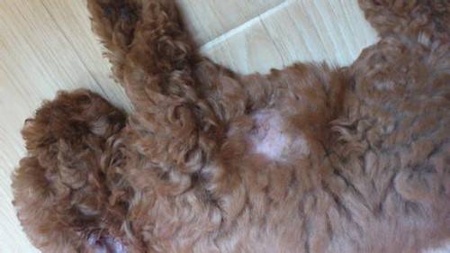 ̩����ëһ���Ƿ�Ƥ������