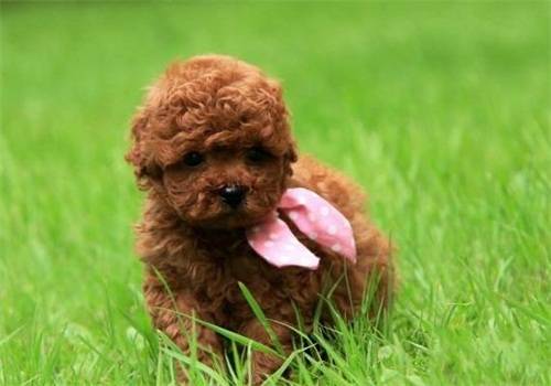 ̩����ëһ���Ƿ�Ƥ������