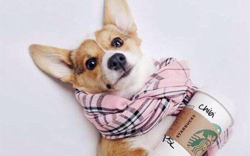 ҽ�ι�����ð������ʽ