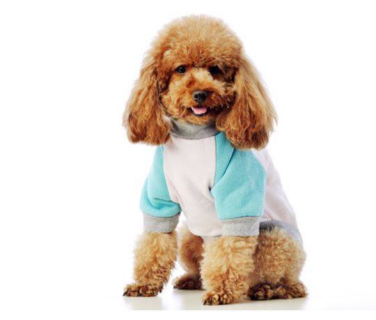 ̩�������ӵ�ԭ����ʲô��С��ҽ����ϸ˵��̩��������