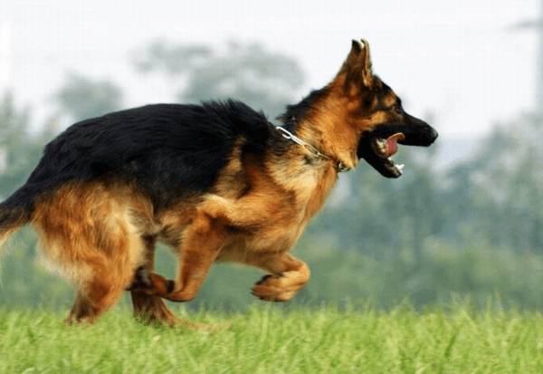 ���������ӳ�ɶ������Ȯ�����Ӹ���ô�죿