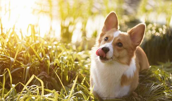 ����������к��С���⣿����ȫ���������۶��ܸĽ���к