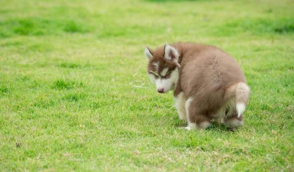 ����������к��С���⣿����ȫ���������۶��ܸĽ���к