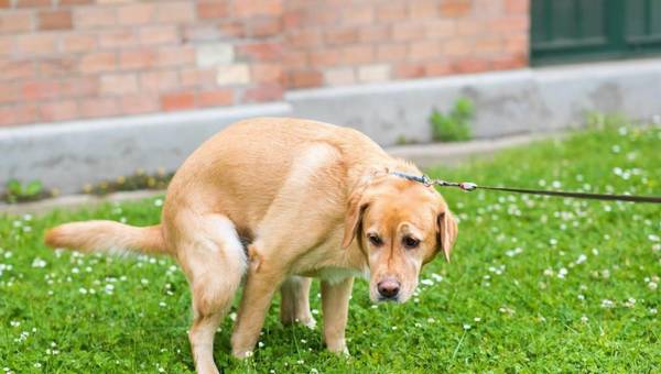 ����������к��С���⣿����ȫ���������۶��ܸĽ���к