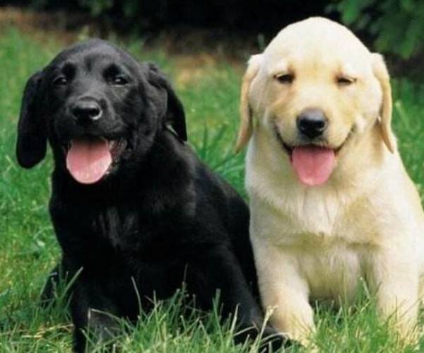 ����������ϡ����ô���£�����������������Ȯ��ϡԵ�ʺ�ҽ��