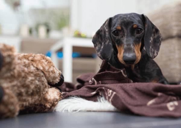 С�������Ӹ���ô��?С���е���������