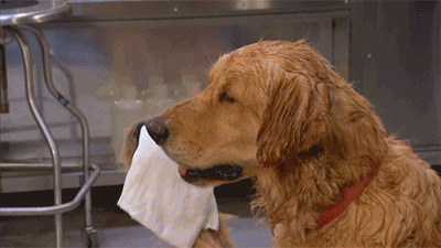 һ������һ�µ��½�ë��ϡ�ĺö��Ե�ʺͽ������