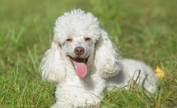 ���Ȯ�����Ӹ���ô�죿5�е�����θ�ķ�ʽ �����ڸ���