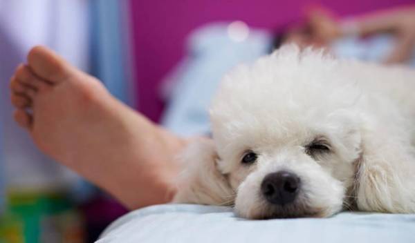 ���Ȯ�����Ӹ���ô�죿5�е�����θ�ķ�ʽ �����ڸ���