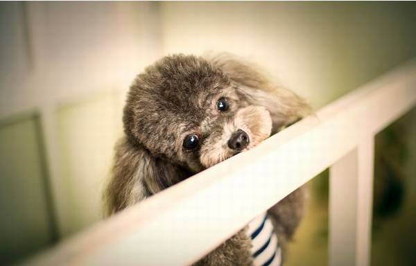 ������ע�����������̩�������Ӹ���ô��