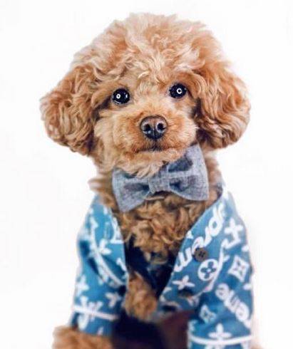 ̩�ϳԻ���ϡ��ô�죿����������������Բ߽��