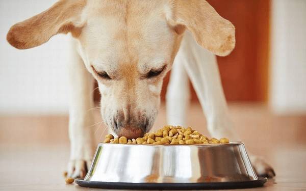 ��Ȯ���������Ϊ������ô����F�������û����Ż�µ�״����