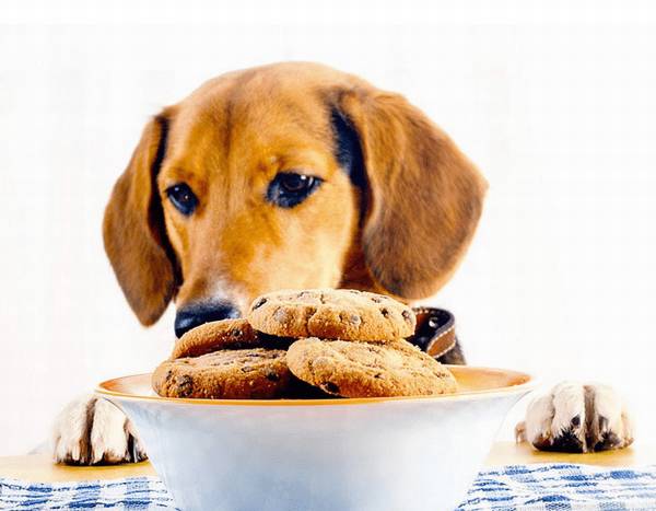 ��Ȯ���������Ϊ������ô����F�������û����Ż�µ�״����