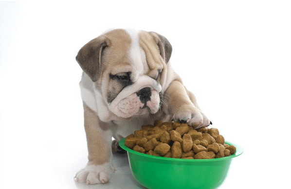 ��Ȯ���������Ϊ������ô����F�������û����Ż�µ�״����