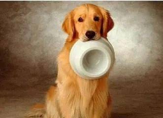 �������˸���ô�죿��һ�ݶ���Ż��״��ȫ��