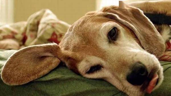 �������˸���ô�죿��һ�ݶ���Ż��״��ȫ��