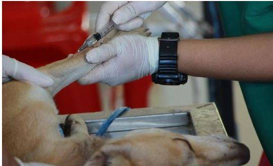 С��Ż����ʲô�ձ�ԭ��