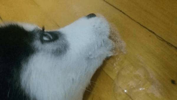 ��Ż�²������ף�Ҫȫ��λ���ǵ��ſ���������ȷ�ֱ�