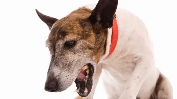 ��Ż�²������ף�Ҫȫ��λ���ǵ��ſ���������ȷ�ֱ�