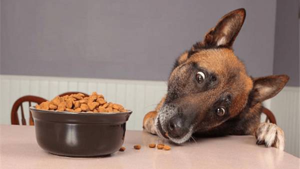 ��Ż�²������ף�Ҫȫ��λ���ǵ��ſ���������ȷ�ֱ�