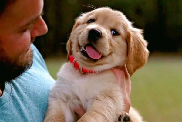 ��ȮŻ�£��������߶����ӣ�Ҫ��Ȼ����ϸ΢���߹�����