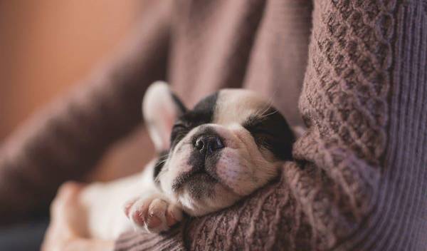 ��ȮŻ�£��������߶����ӣ�Ҫ��Ȼ����ϸ΢���߹�����