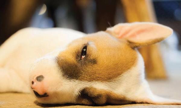 ��ȮŻ�£��������߶����ӣ�Ҫ��Ȼ����ϸ΢���߹�����