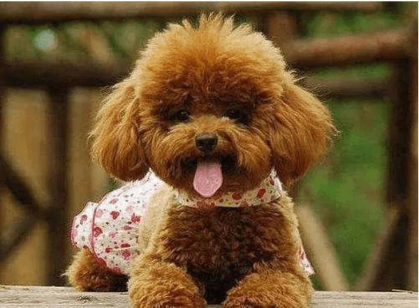 ̩�Ϲ����»�ˮ����ĭ����ô��