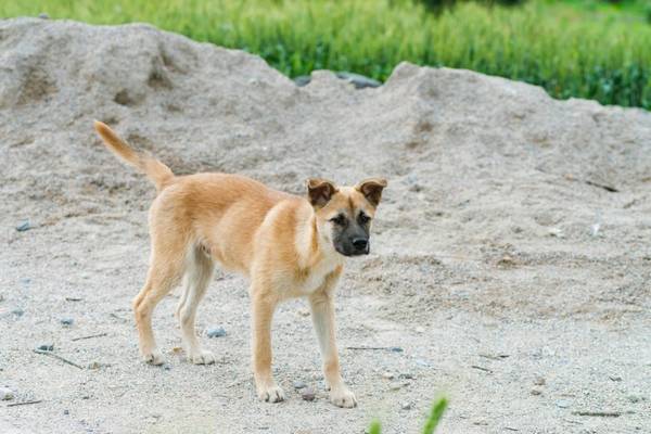 ��������Ż���³����Һ������ʲô��