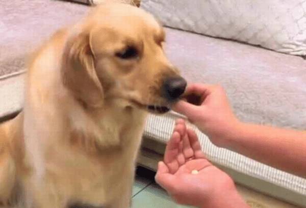 ������һ���ܳԶ��������˶�ÿ��ԳԶ�����