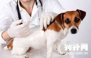 ��ҹ�������������