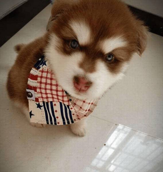 ���㹷������������������F��Щ��ӳ