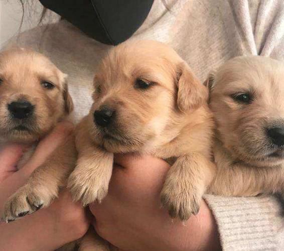 �����´��С����Ԥ���ȷ��ȫ�˛]�У����������˽�һ��