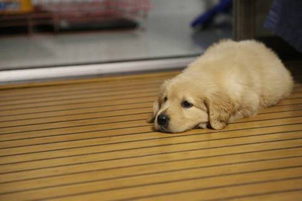 �����´��С����Ԥ���ȷ��ȫ�˛]�У����������˽�һ��