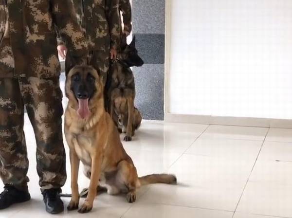 �Ѿ�Ȯ�ų��Ӵ����磬������Ϊ�Ӽ��ȣ�����ҽ���󣬹��ӵķ�ӳ��