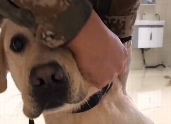 �Ѿ�Ȯ�ų��Ӵ����磬������Ϊ�Ӽ��ȣ�����ҽ���󣬹��ӵķ�ӳ��