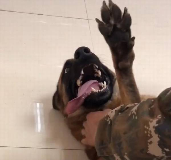 �Ѿ�Ȯ�ų��Ӵ����磬������Ϊ�Ӽ��ȣ�����ҽ���󣬹��ӵķ�ӳ��