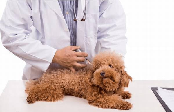 ������Ȯ����೤ʱ���һ�Σ�Ȯ��������ô������ɵ��أ��ɻ�֪