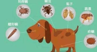 ̩�����崫�����������źţ���������������桰���ࡱ����������