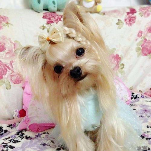 Լ����θ�ڲ�̫��������û������