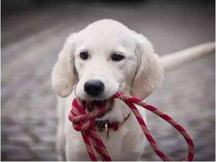 ������������ע�ض࣬�⼸�����治���Ժ��ӣ�Ҫ��Ȼ�൱�ڰ״�