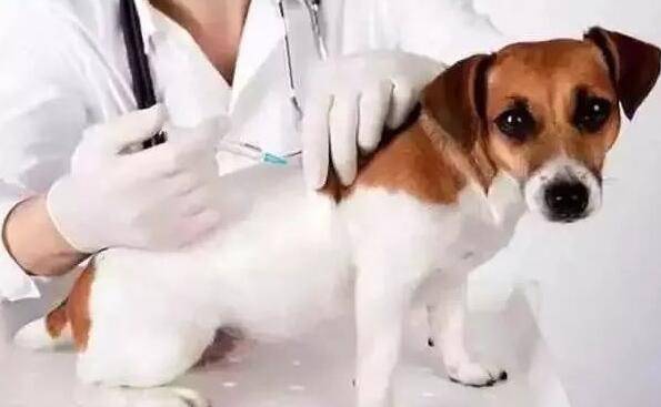 �����������Ǯһ�룬��ô�һ��