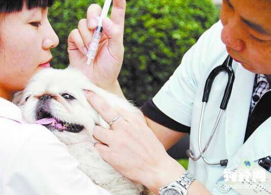 ��������ע��ʱ�估ע������