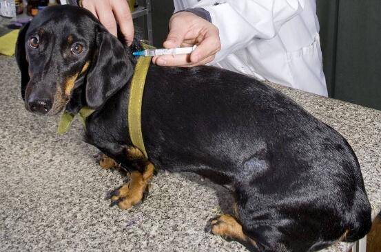 �����������Ǯ?������������Ҫע��Щʲô��