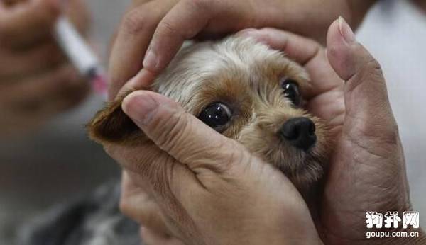 ��Ȯ����ĸ����ã���������С֪ʶ��Ҫ���գ�