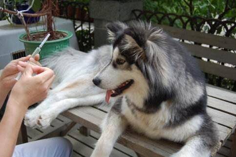 ��������ϴ�����ô�죿�����������ҩ����ȷ����