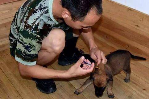 ��������ϴ�����ô�죿�����������ҩ����ȷ����